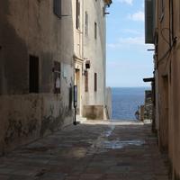 QA_Ergonomic Cotton Mouse