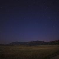 QA_Awesome Rubber Chips [SP - tst-shipping-lbl:none]