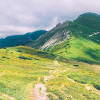 QA_Handcrafted Metal Towels [SP - sigleItemAndShippingLabel3:3]