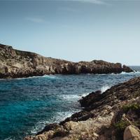 QA_Handcrafted Fresh Chicken [SP - tst-shipping-lbl:none]