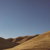 QA_Awesome Concrete Tuna [SP - rtly-shipping-lbl:3]