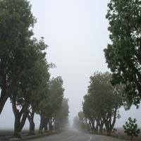 QA_Awesome Granite Towels