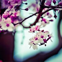 QA_Awesome Steel Pants [SP - rtly-shipping-lbl:2]