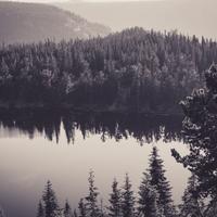 QA_Unbranded Rubber Table