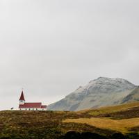 QA_Gorgeous Concrete Mouse [SP - tst-shipping-lbl:0]