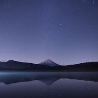 QA_Handmade Cotton Sausages