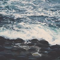 QA_Awesome Steel Soap [SP - tst-shipping-lbl:2]