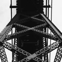 QA_Gorgeous Plastic Chicken