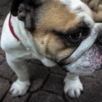 QA_Fantastic Frozen Shirt [SP - rtly-shipping-lbl:0]