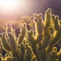 QA_Ergonomic Steel Shirt