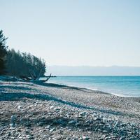 QA_Generic Wooden Gloves