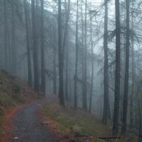 QA_Generic Concrete Table [SP - sigleItemAndShippingLabel3]