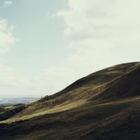 QA_Handcrafted Concrete Salad