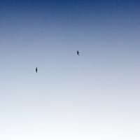 QA_Ergonomic Metal Table