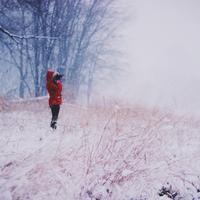 QA_Awesome Cotton Car